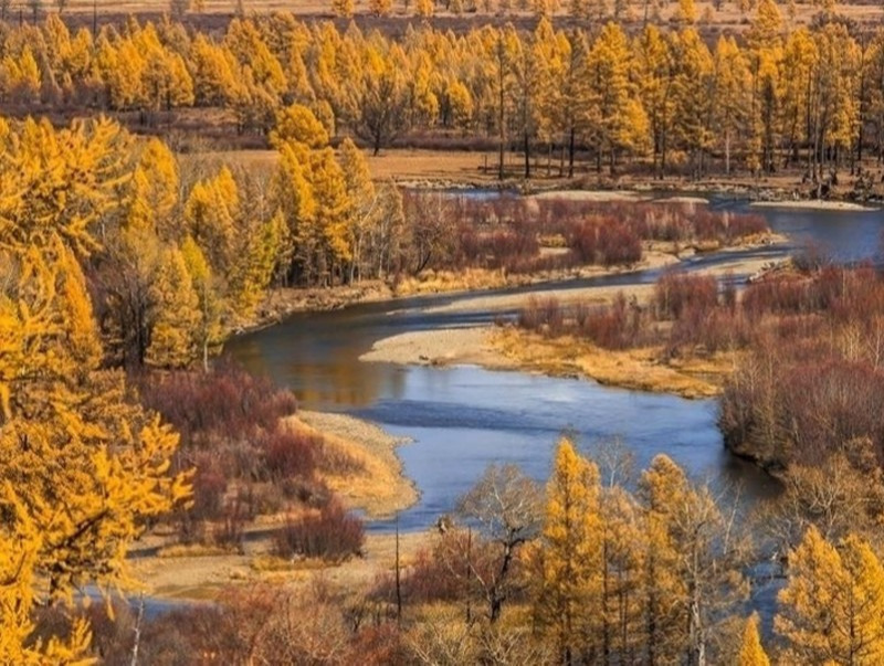 Ой хээрийн түймрээс сэрэмжлүүлж байна